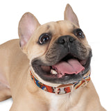 Divine Unity Dog Collar