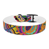Freedom Dog Collar