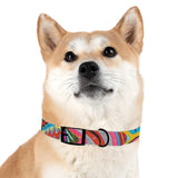 Multidimensional Dog Collar