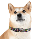 Rainbow Soul Dog Collar