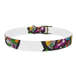 Rainbow Soul Dog Collar