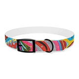 Multidimensional Dog Collar