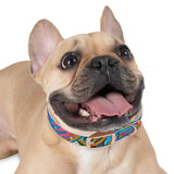 Freedom Dog Collar
