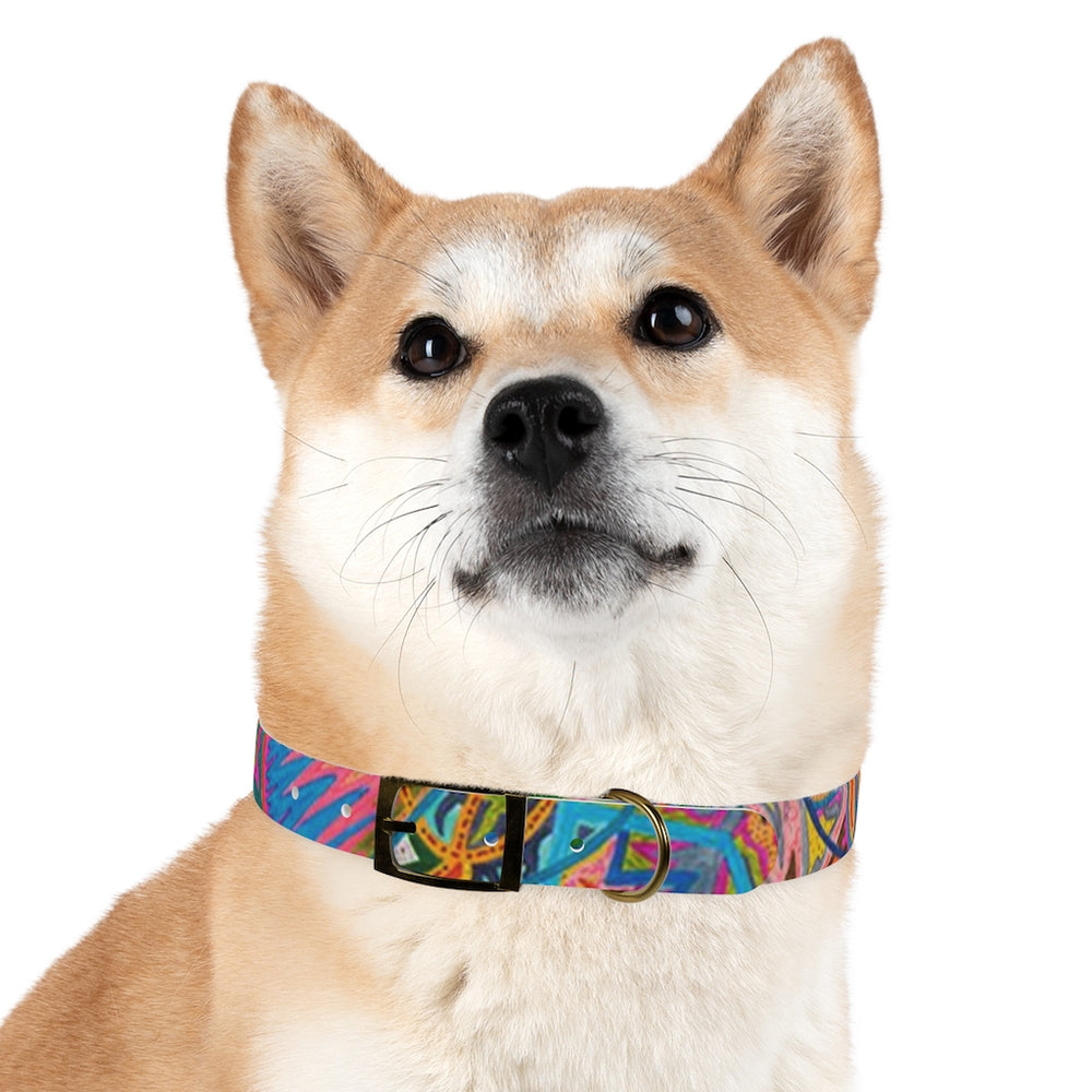 Freedom Dog Collar