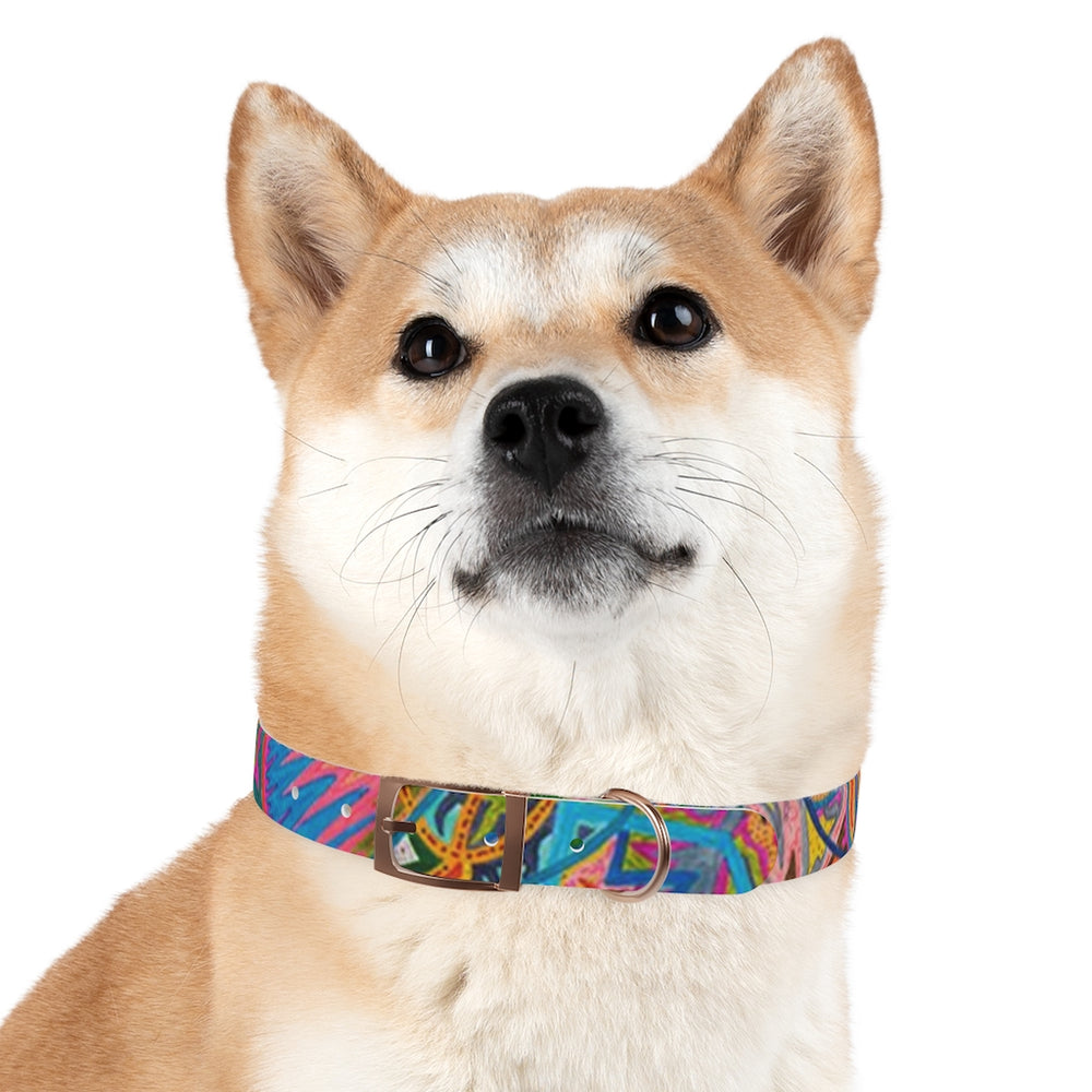 Freedom Dog Collar