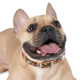 Spirit Dance Dog Collar