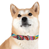 Multidimensional Dog Collar